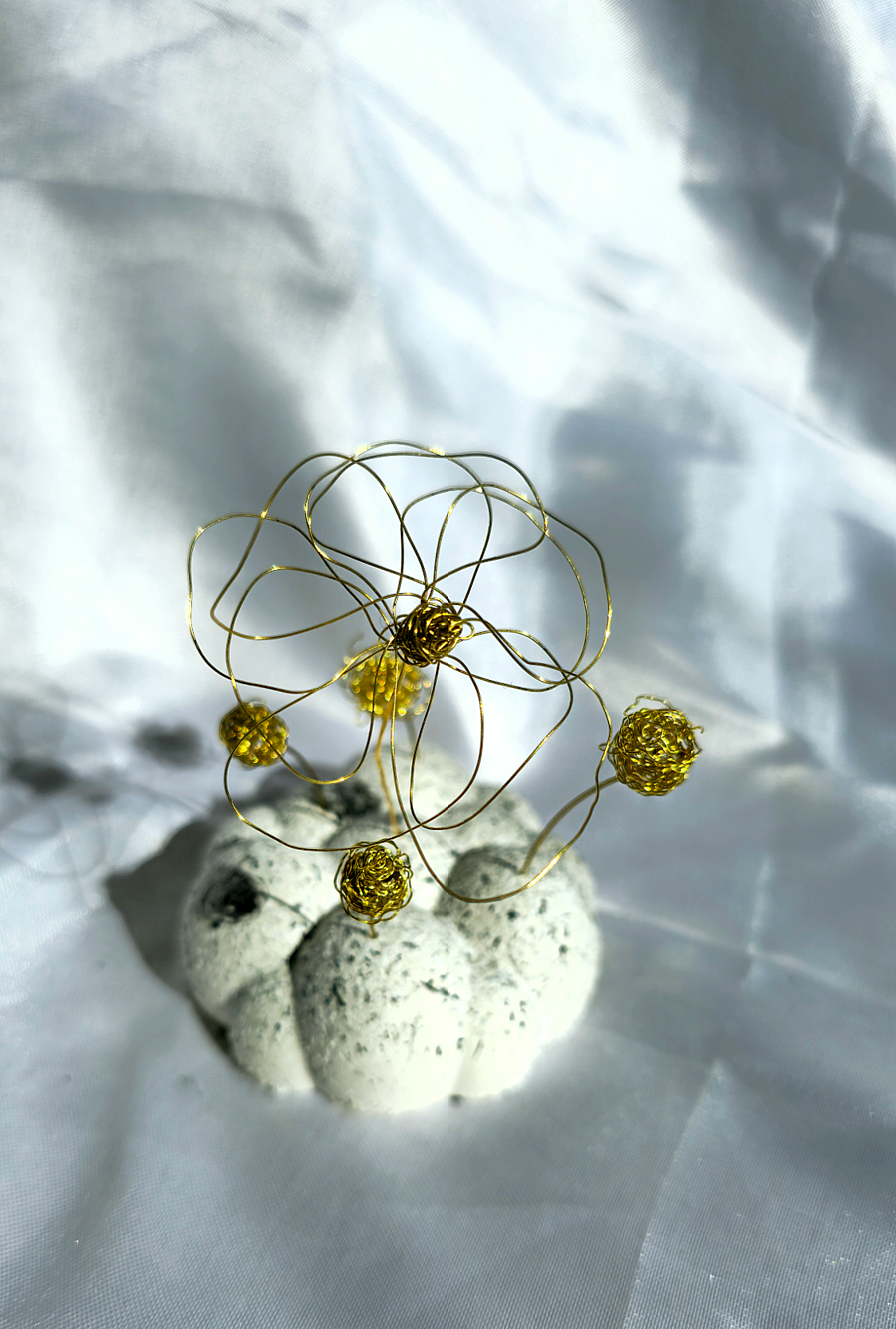 Nuvoletta Argento