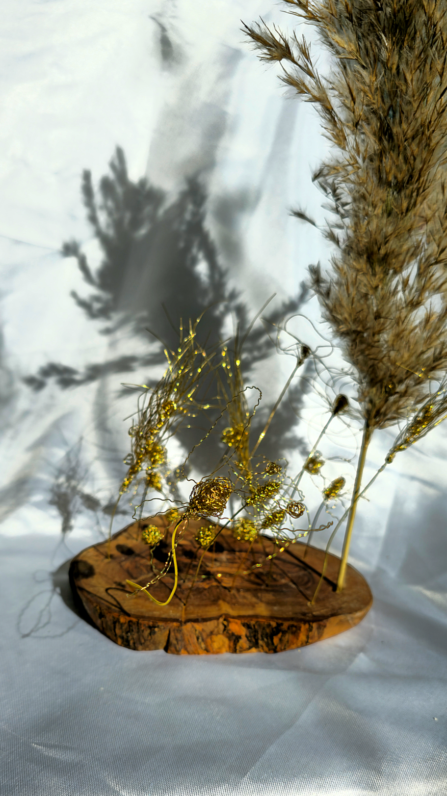 Magico Bosco