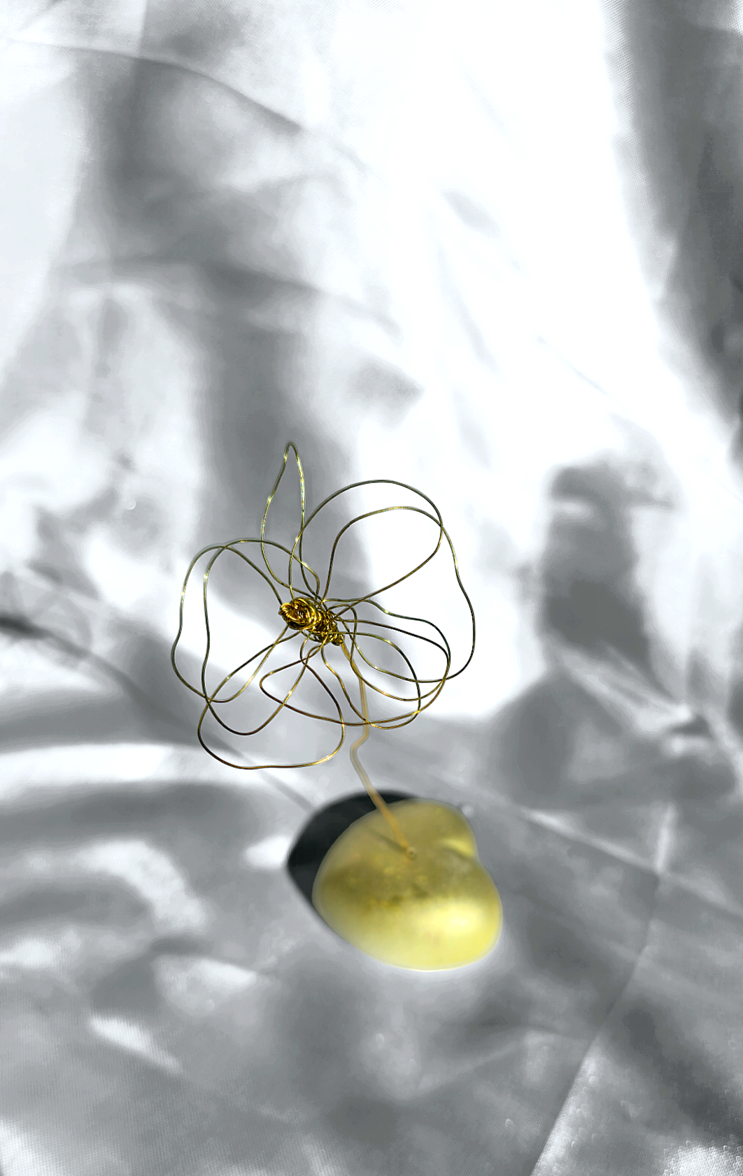 Fiore di Cuore