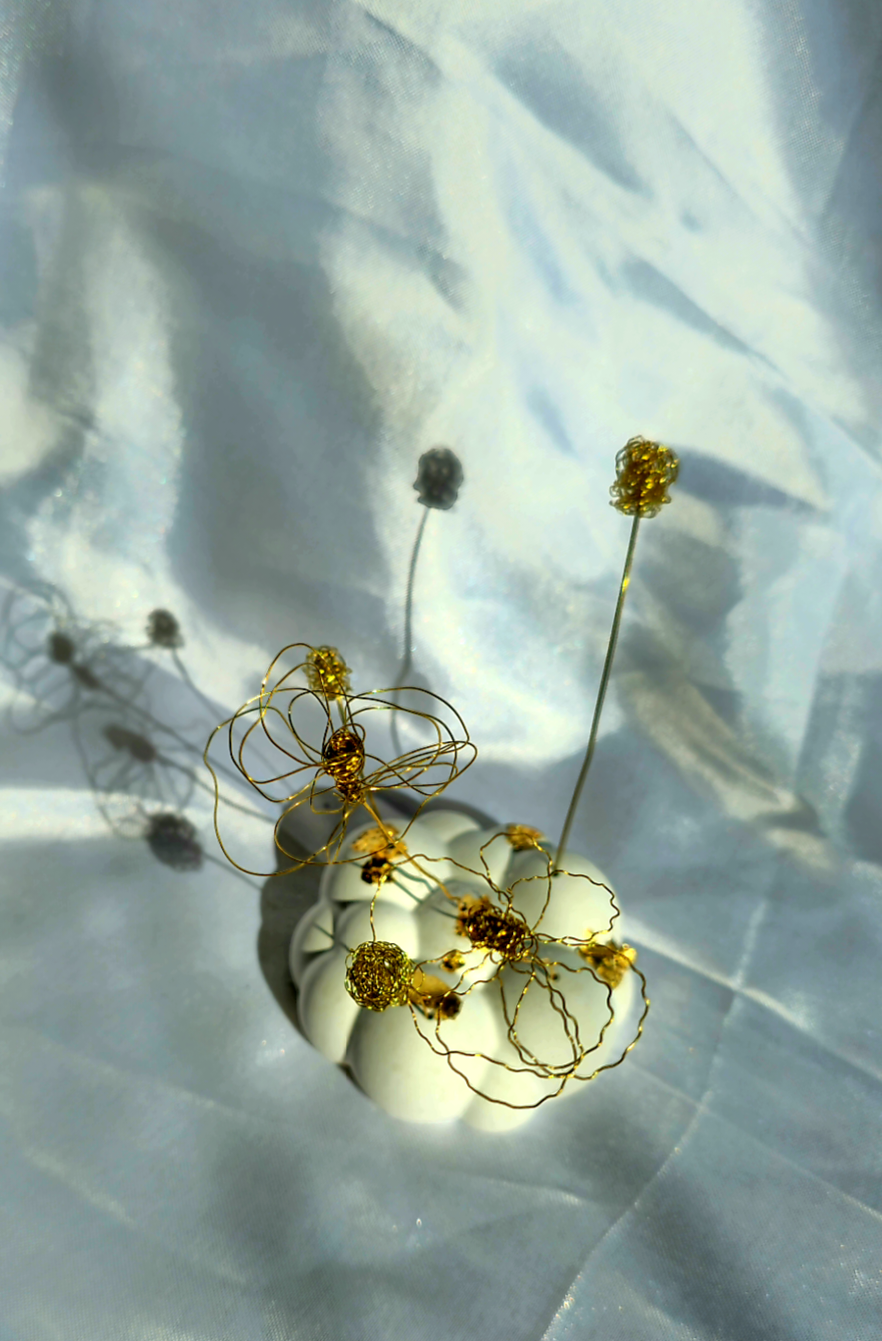 Nuvoletta Dorata