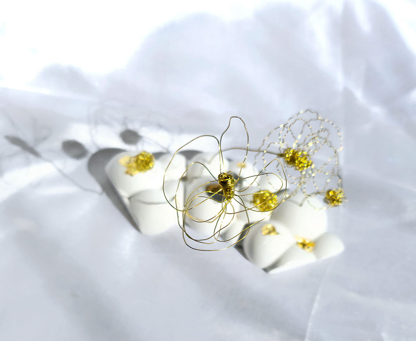 Fiore nelle Nuvole